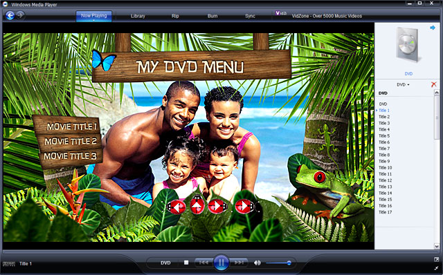 Vista 기본용 DVD 코덱