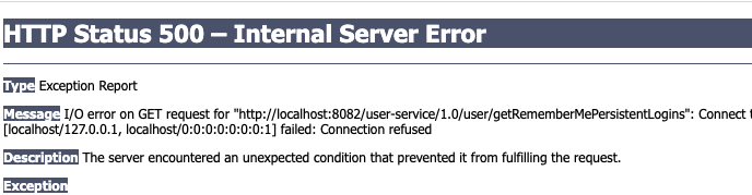 exception processing errorpage error exchange =500