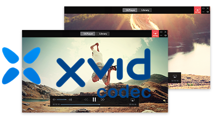 xvid 코덱 mac 컴퓨터 칩